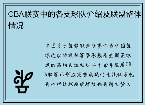 CBA联赛中的各支球队介绍及联盟整体情况
