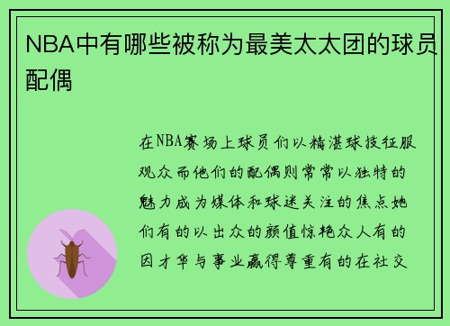NBA中有哪些被称为最美太太团的球员配偶